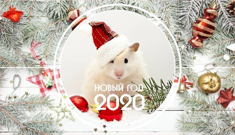 Новый год 2020 Белая Металлическая Крыса
